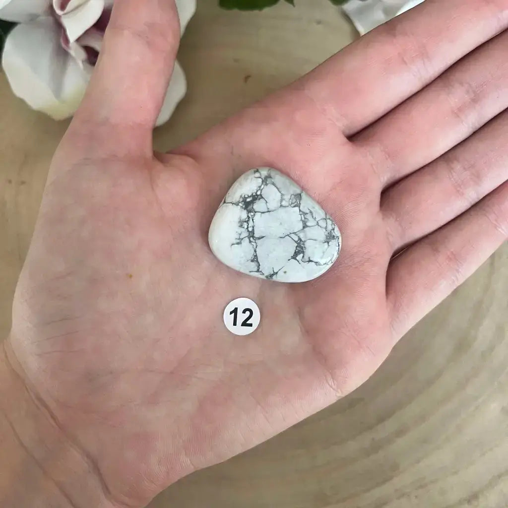 Galet Plat Howlite Blanche présenté dans la paume d'une main, veines grises visibles et étiquette 12
