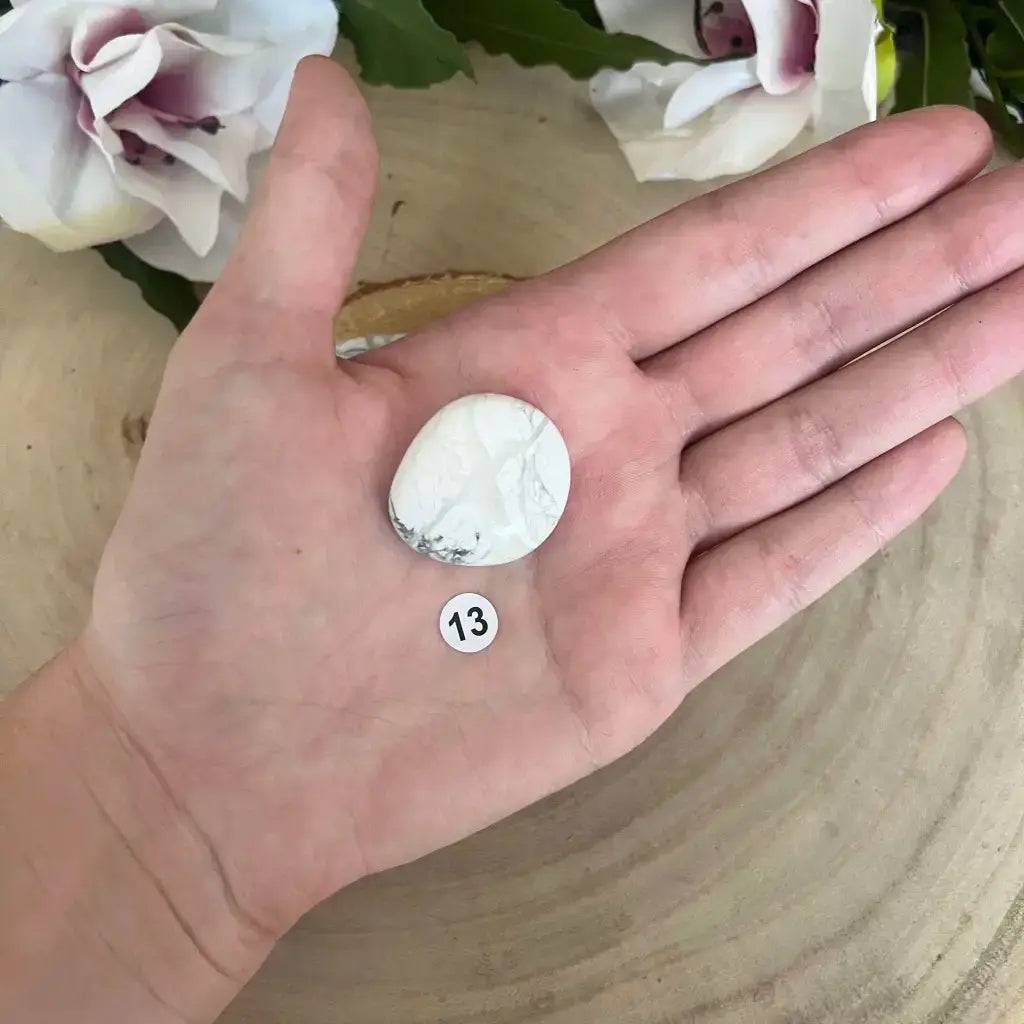 Galet Plat Howlite Blanche Aura de Roche pierre naturelle plate blanche tenue dans la paume avec etiquette 13