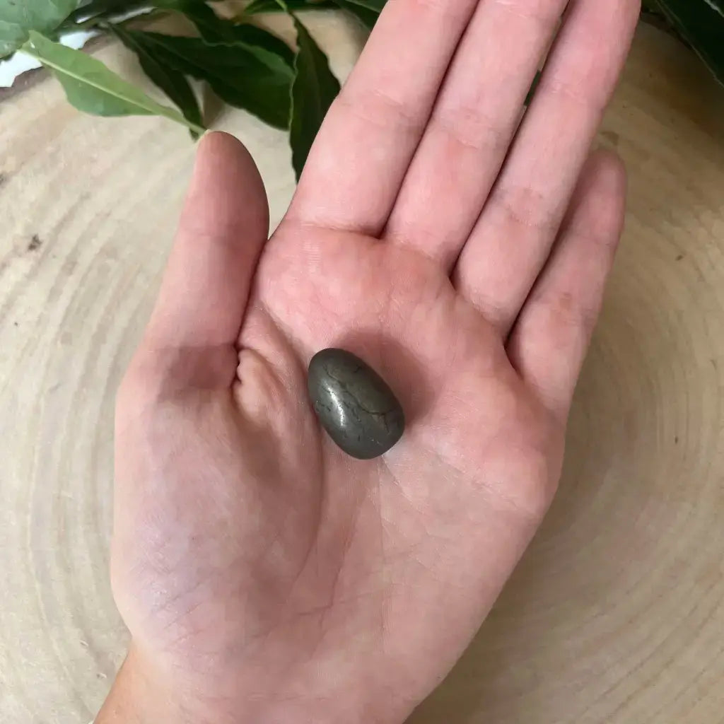 Mini Pierre Roulée Pyrite tenue dans une main sur fond de surface en bois et de feuilles vertes