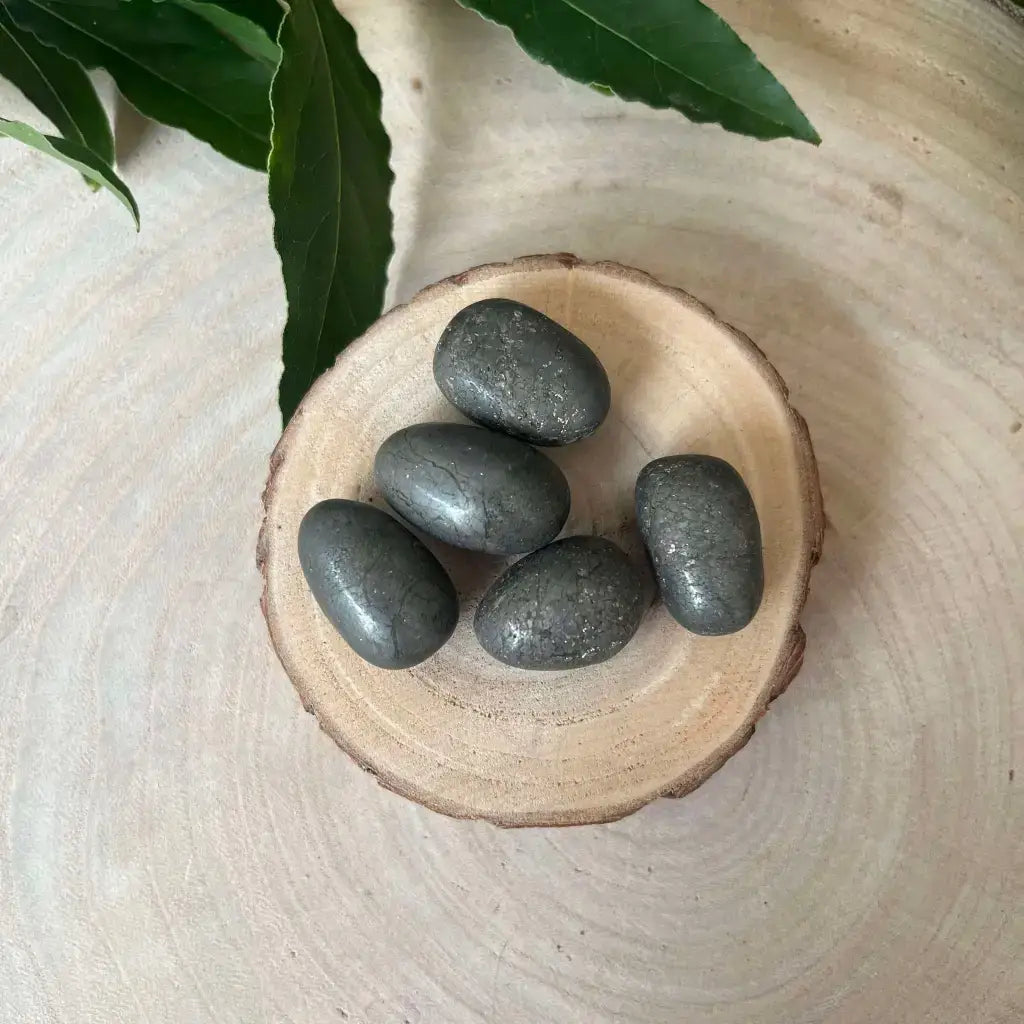 Cinq Mini Pierre Roulée Pyrite sur un support en bois, ajoutant une touche décorative naturelle