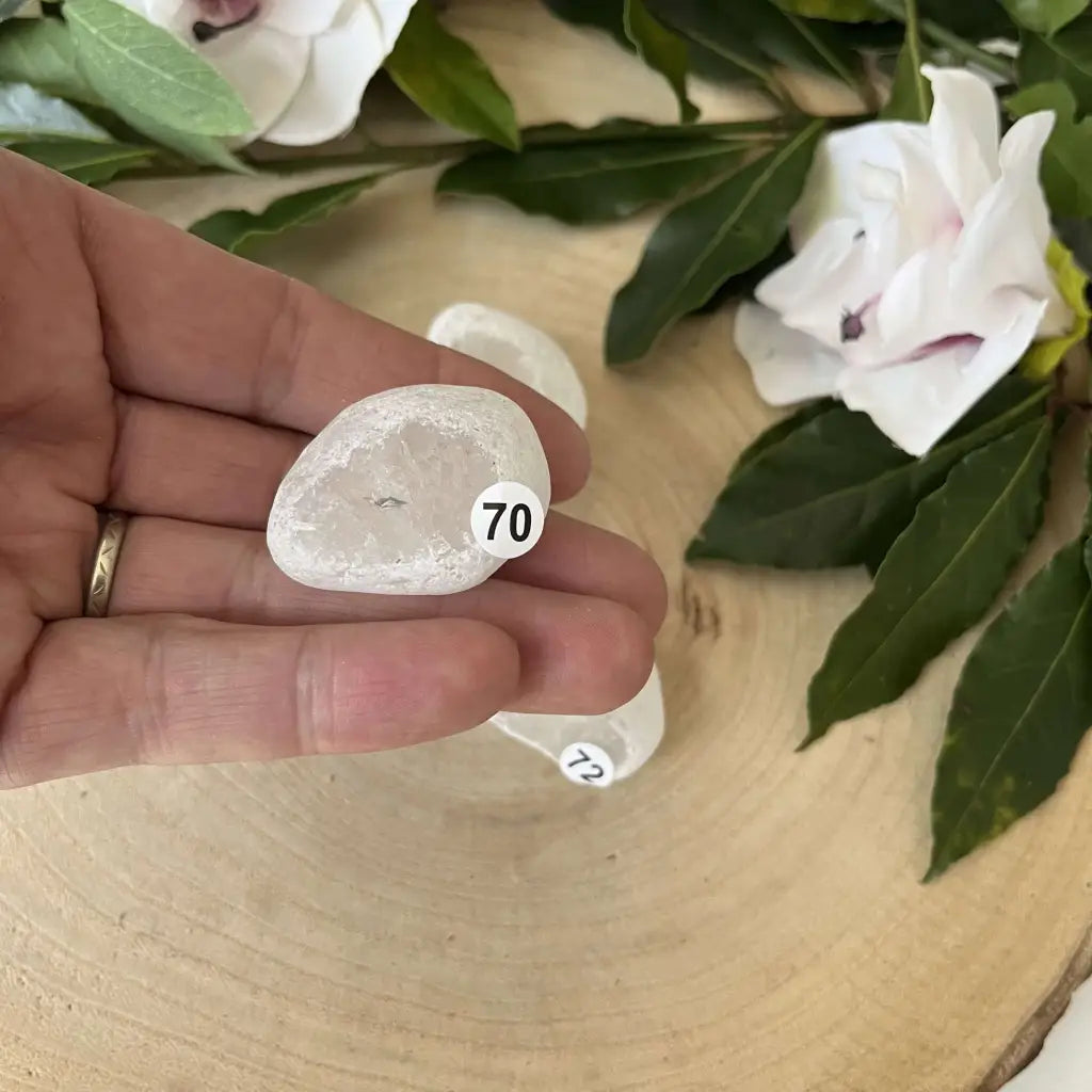 Œuf Ema Cristal de Roche - 70 - pierre naturelle