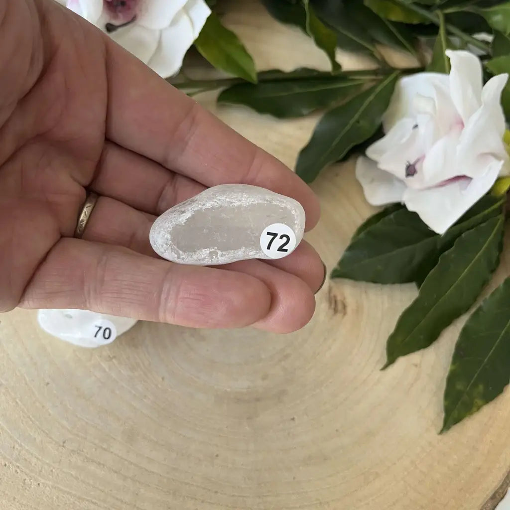 Œuf Ema Cristal de Roche - 72 - pierre naturelle