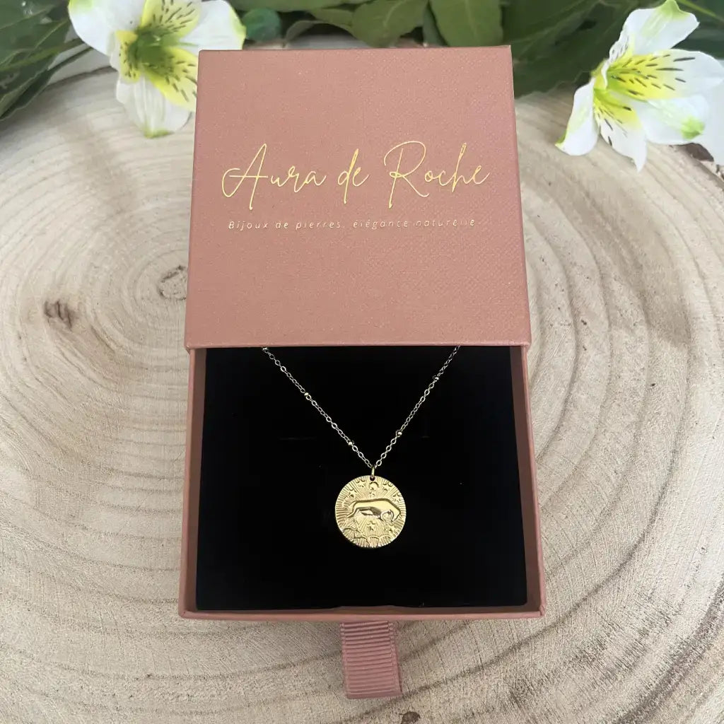 Pendentif Taureau avec Pierre de Pouvoir dans une boîte élégante de Aura de Roche