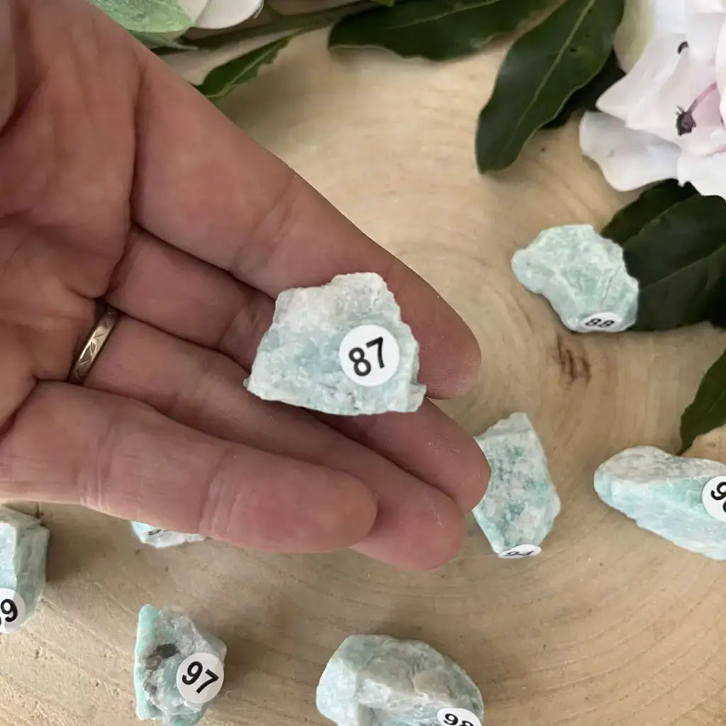 Pierre brute Amazonite Brésil dans la main avec étiquette, idéale pour collectionneurs de minéraux