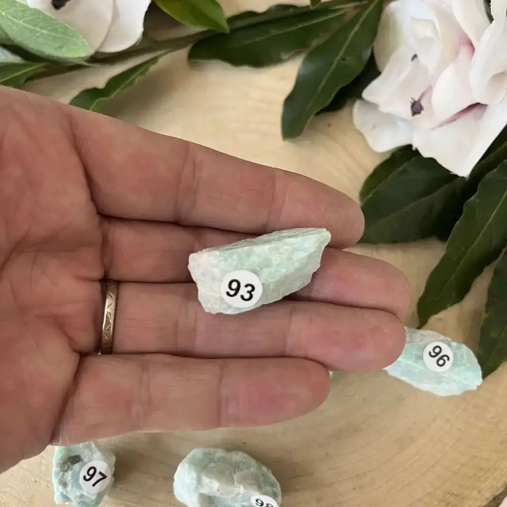 Pierre Brute Amazonite Brésil tenue en main, avec des étiquettes numérotées pour identification