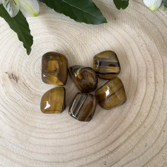 Pierre Oeil de Tigre Roulée polie posée sur une tranche de bois clair avec des feuilles vertes