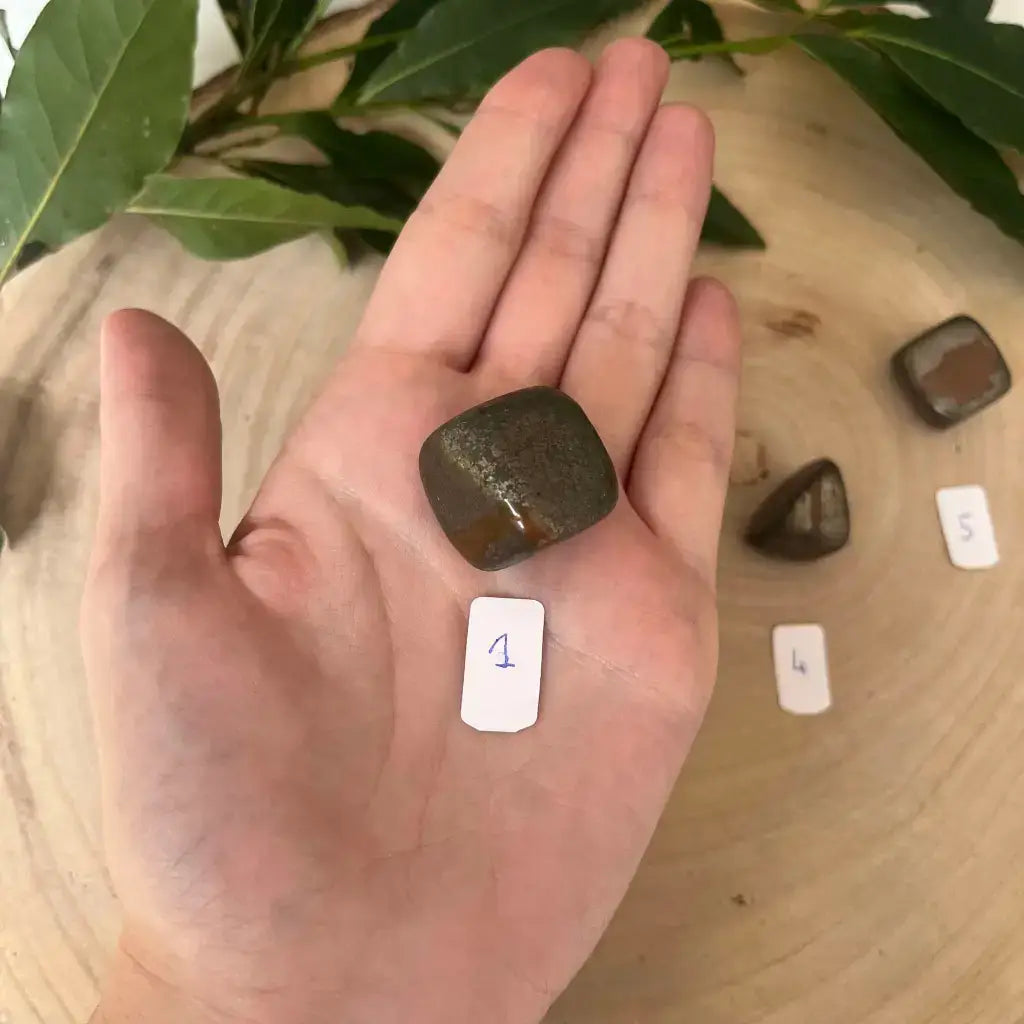 Pierre Pyrite Roulée Cat B dans la main avec un fond en bois et des feuilles vertes