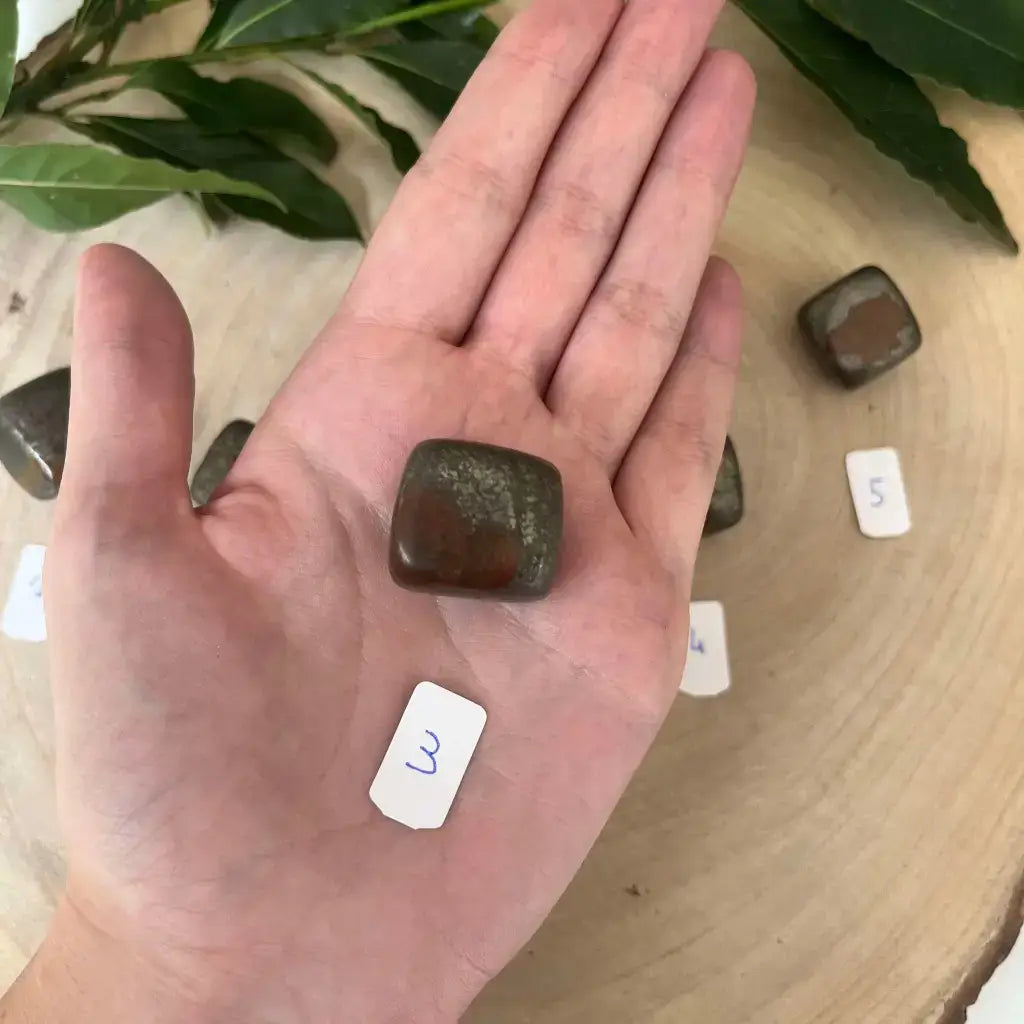 Pierre Pyrite Roulée Cat B présentée dans la paume d'une main avec des feuilles en arrière-plan