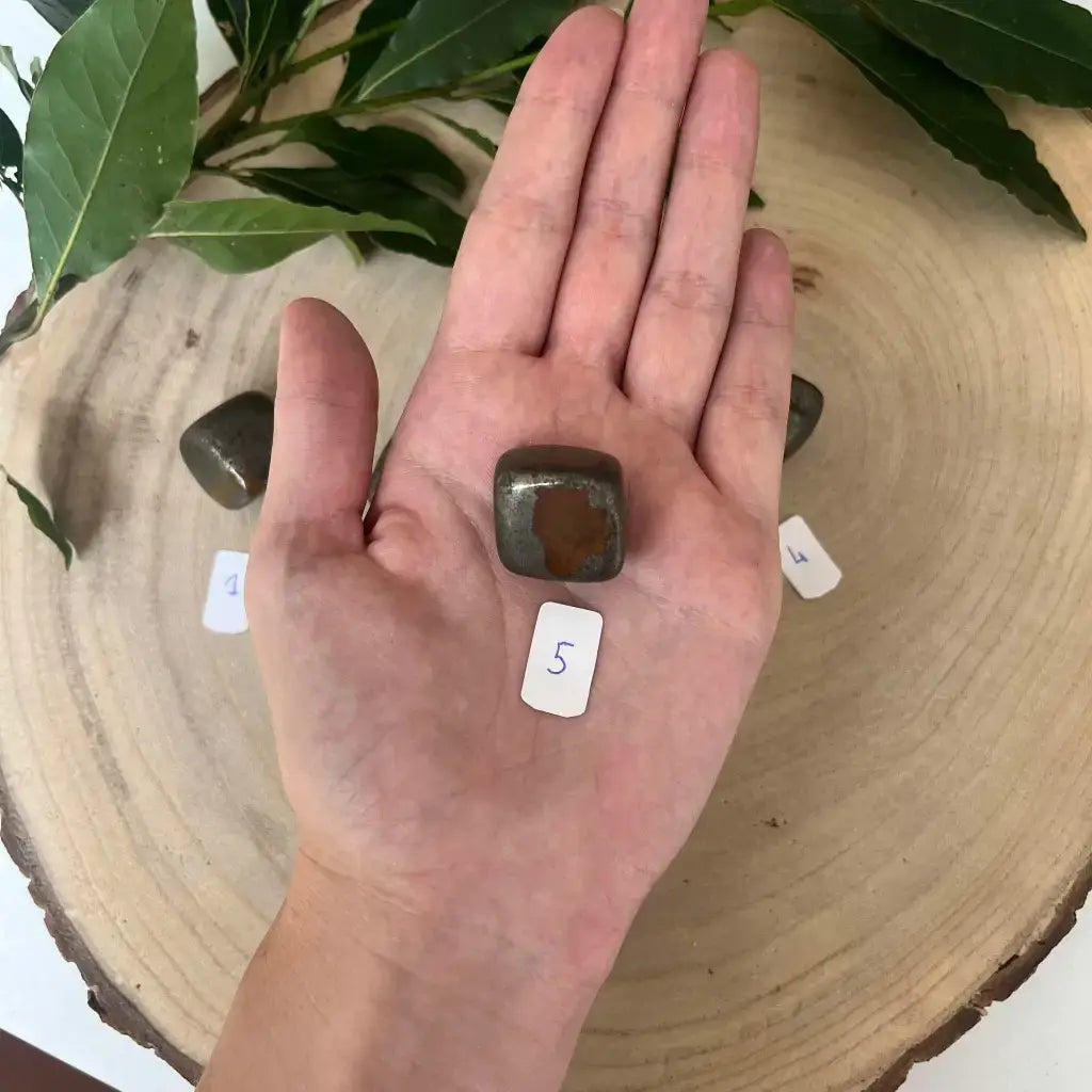 Pierre Pyrite Roulée Cat B présentée dans une main sur un plateau en bois naturel