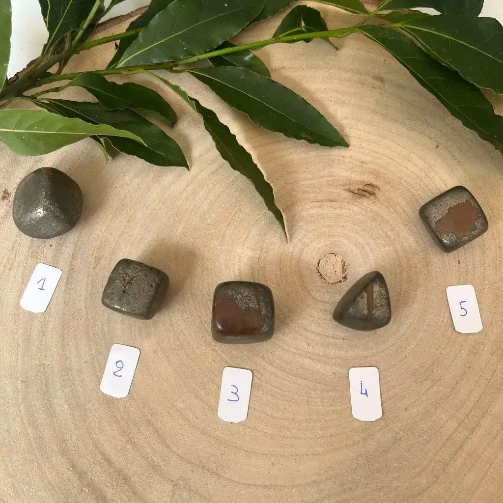 Variété de Pierre Pyrite Roulée Cat B sur un support en bois avec feuilles vertes en arrière-plan