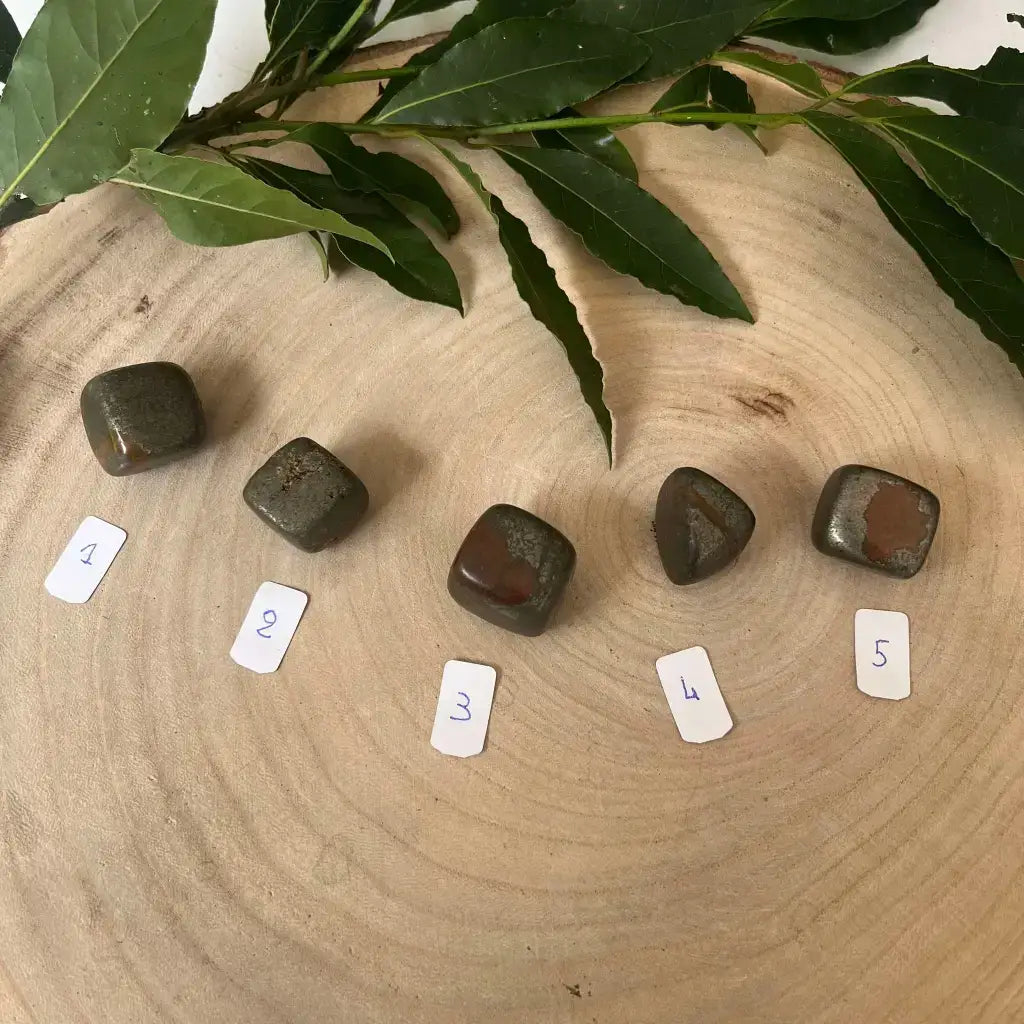 Pierre Pyrite Roulée Cat B de Aura de Roche, exposée sur une surface en bois avec des feuilles verdoyantes.