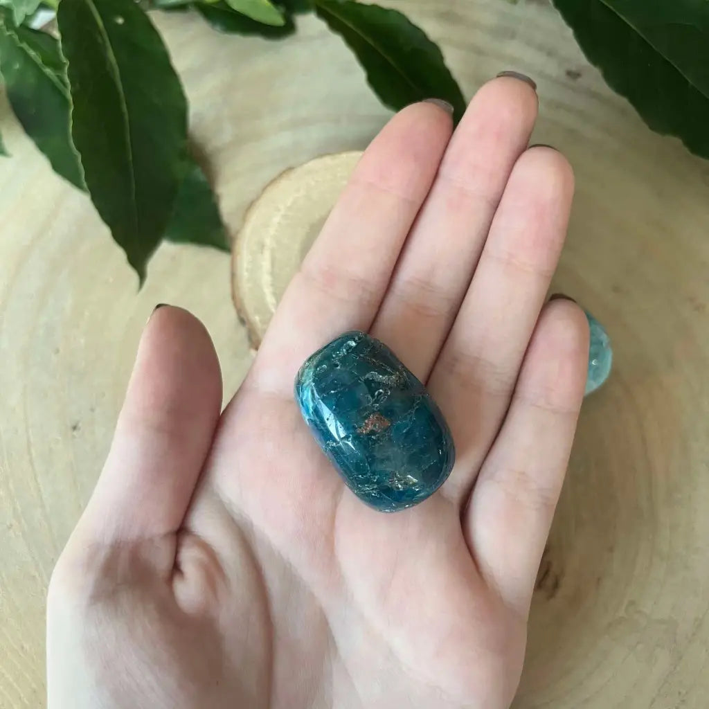 Pierre Roulée Apatite Bleue - 30/40 mm - Pierre roulée