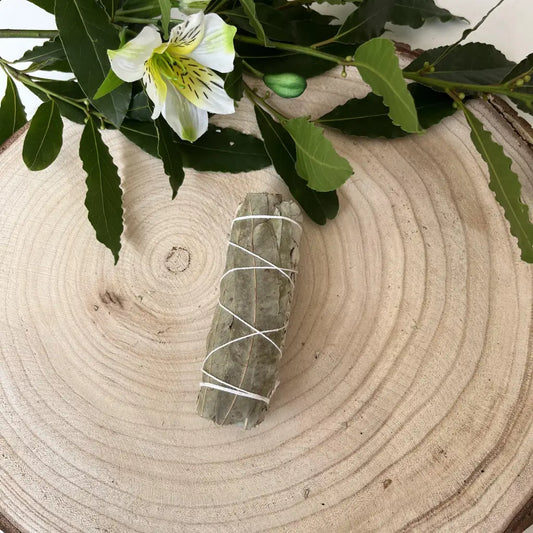 Sauge blanche à l’Eucalyptus pour purification doublée -