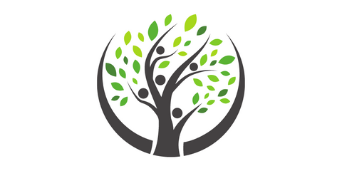 L’Arbre de Vie: Croissance Sagesse et Interconnexion