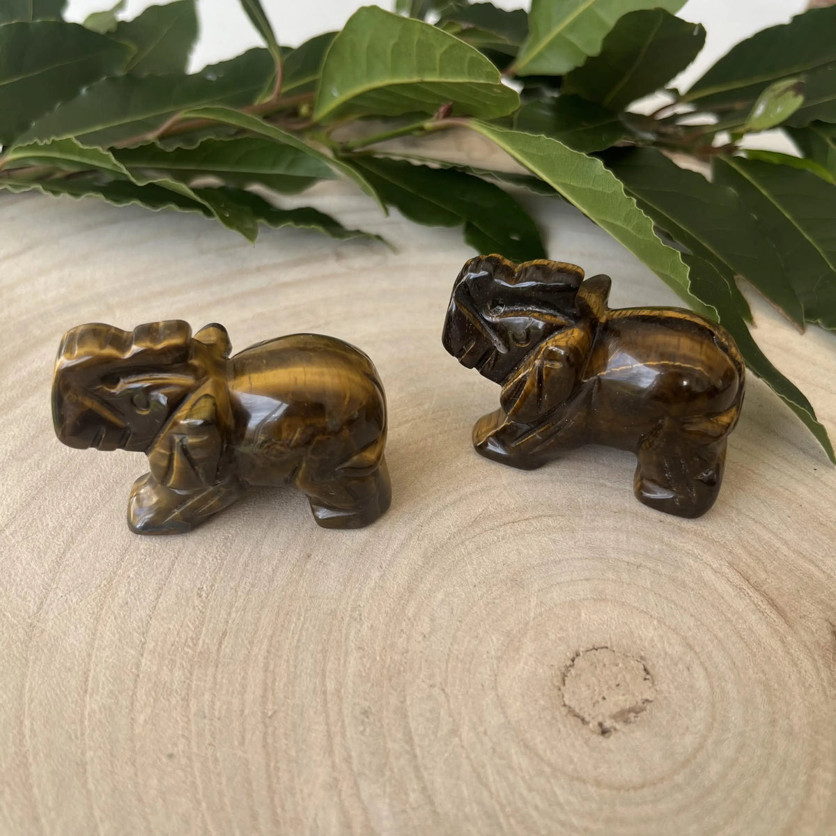 Figurine Éléphant en Œil de Tigre - Aura de Roche