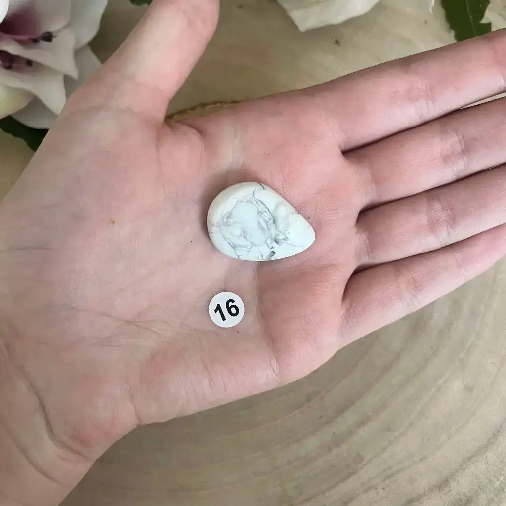 Galet Plat Howlite Blanche posé sur une paume de main montrant taille et texture pierre polie vendue par Aura de Roche