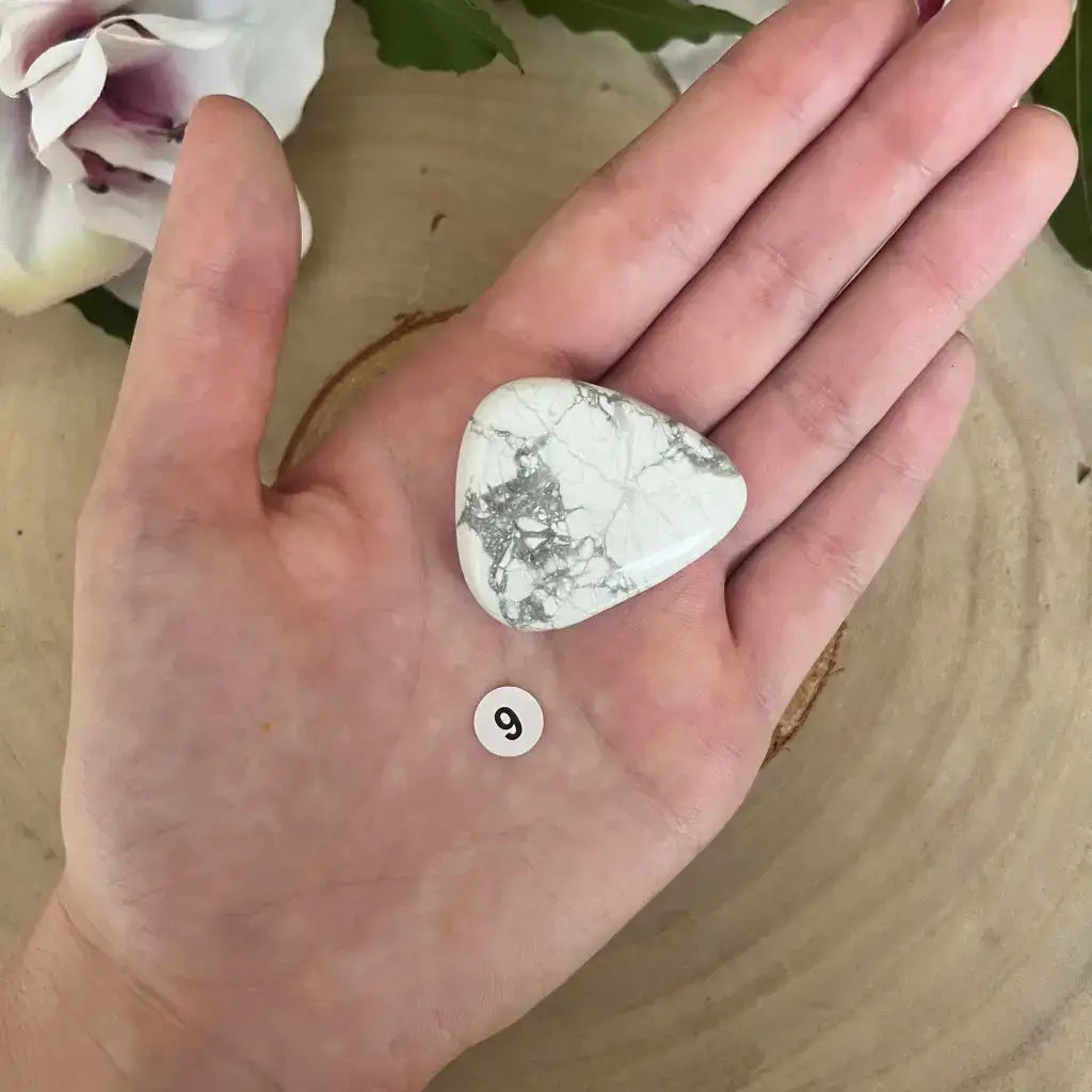 Galet Plat Howlite Blanche tenu dans la paume de la main pierre naturelle blanche veinée Aura de Roche