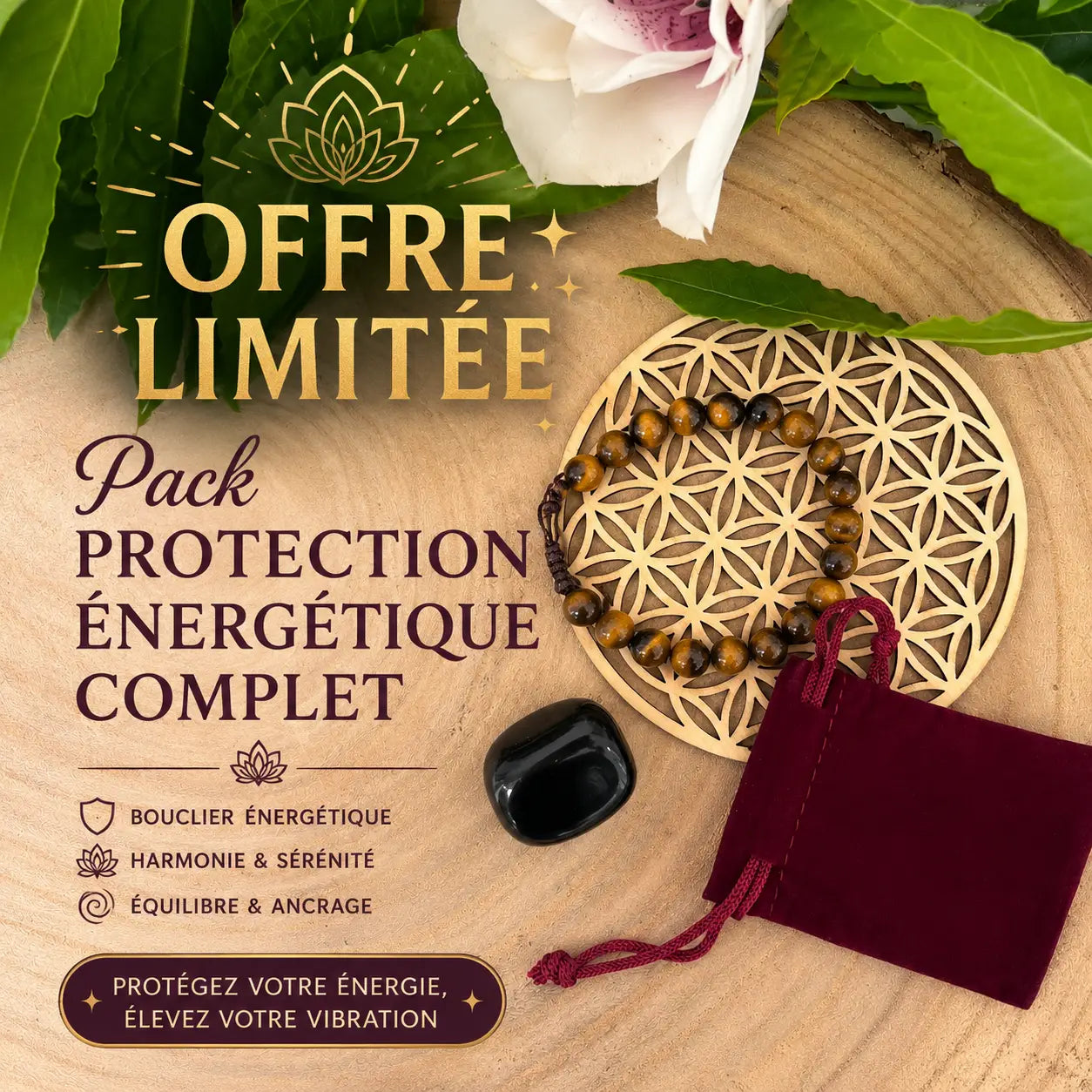 OFFRE IRRÉSISTIBLE Pack Protection Énergétique Complet
