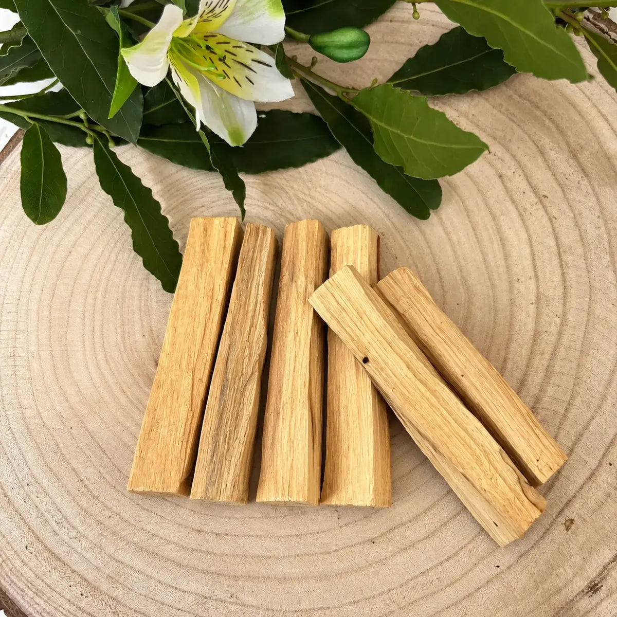 Palo Santo Bois Sacré et Authentique