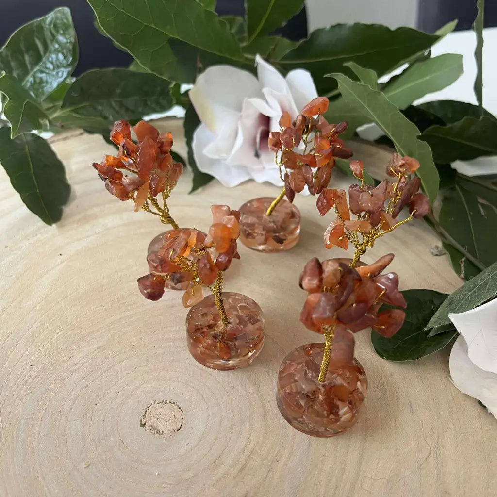 Petit arbre en Cornaline – Arbre décoratif en pierres