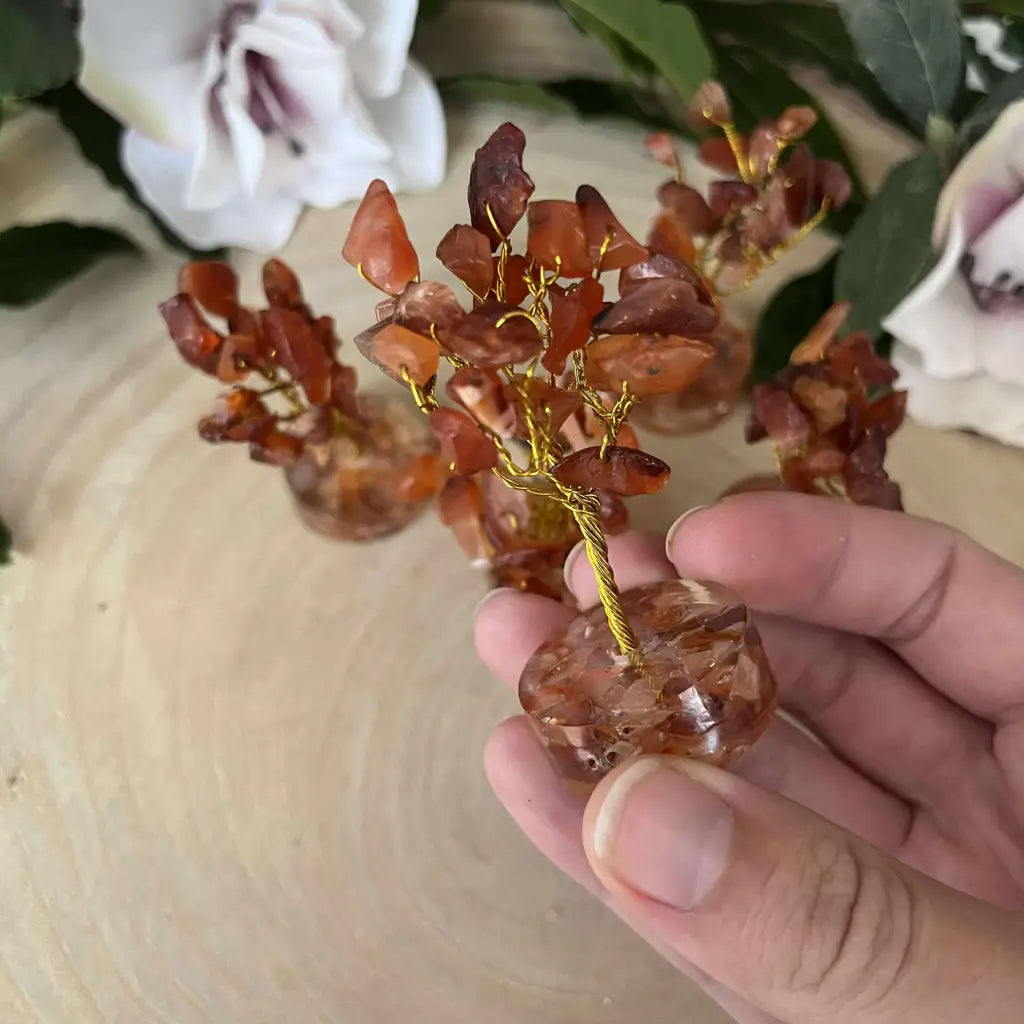 Petit arbre en Cornaline – Arbre décoratif en pierres