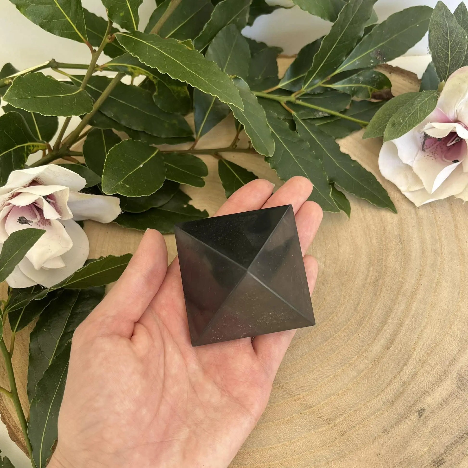 Pyramide de shungite noire lisse tenue en main pour shungite protection contre les ondes nocives coquille st jacques