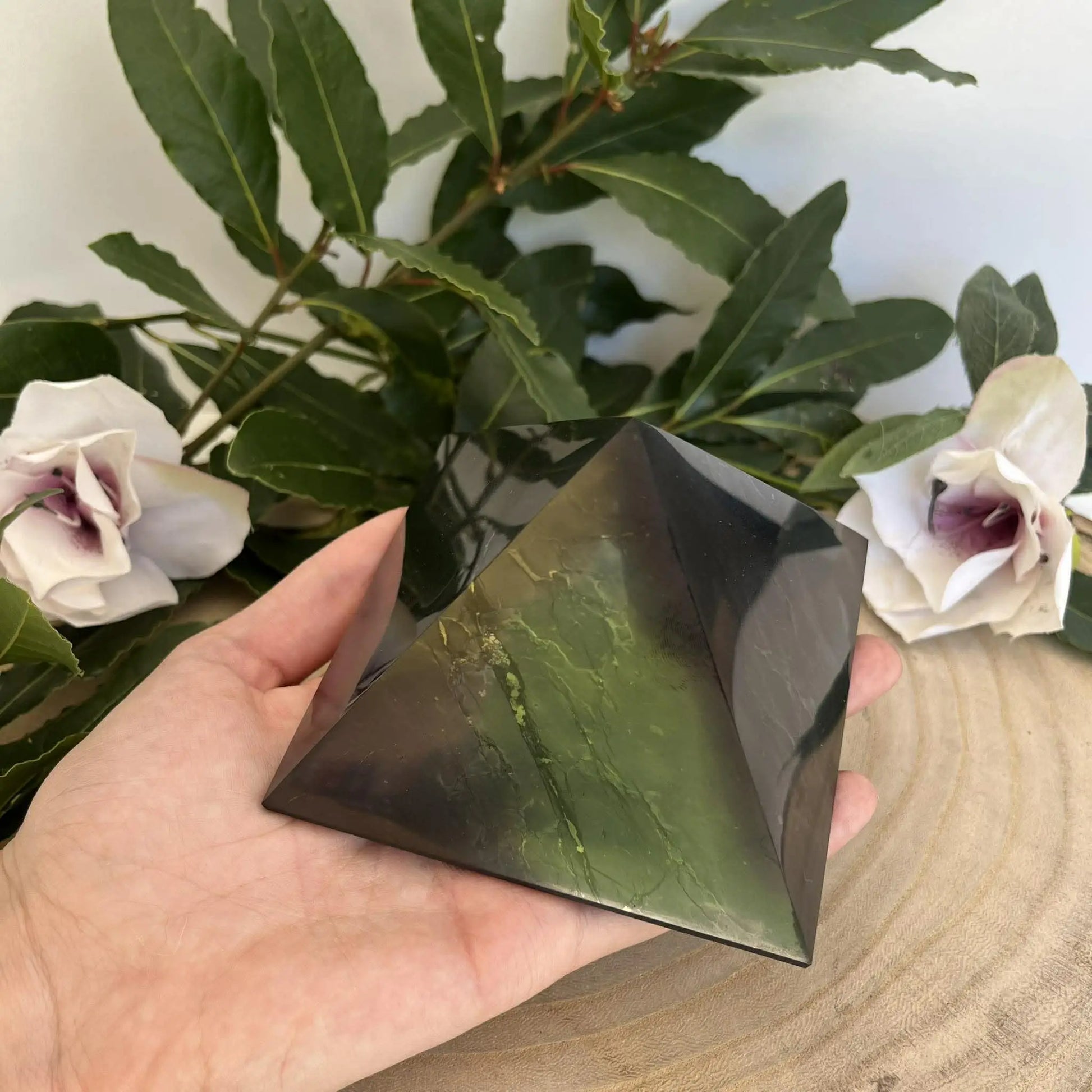 Pyramide de shungite protection en pierre polie verte foncée et noire contre les ondes nocives avec coquille st jacques